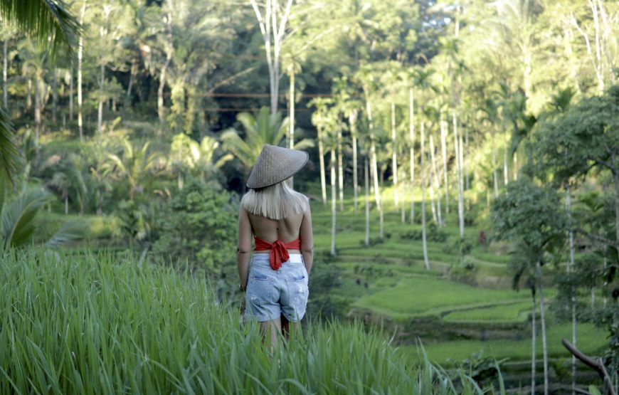 Private Full Day Best of Ubud Tour