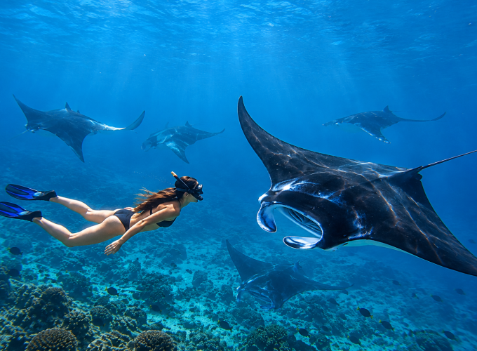 Explore Bali with Trusted Local Tour Experts