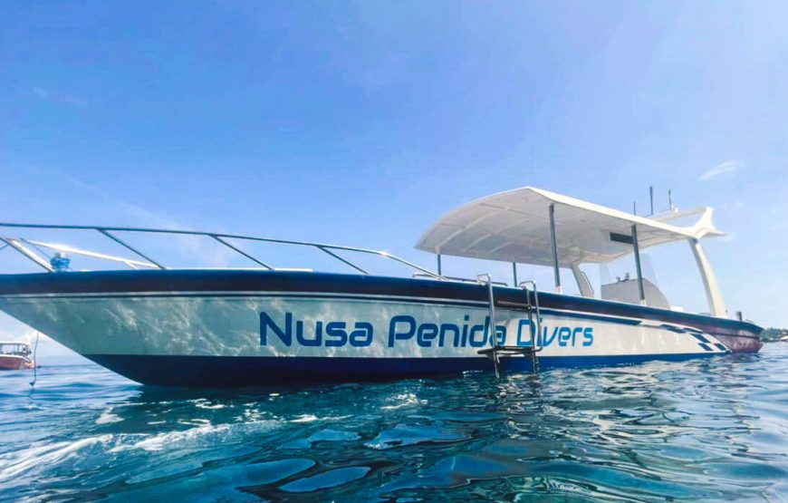 Private Nusa Penida Snorkeling Tour